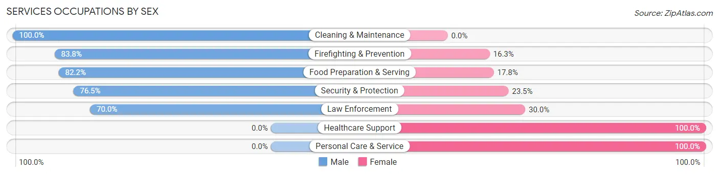 Services Occupations by Sex in Zip Code 39170