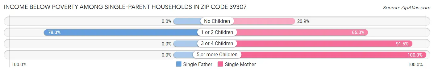 Income Below Poverty Among Single-Parent Households in Zip Code 39307