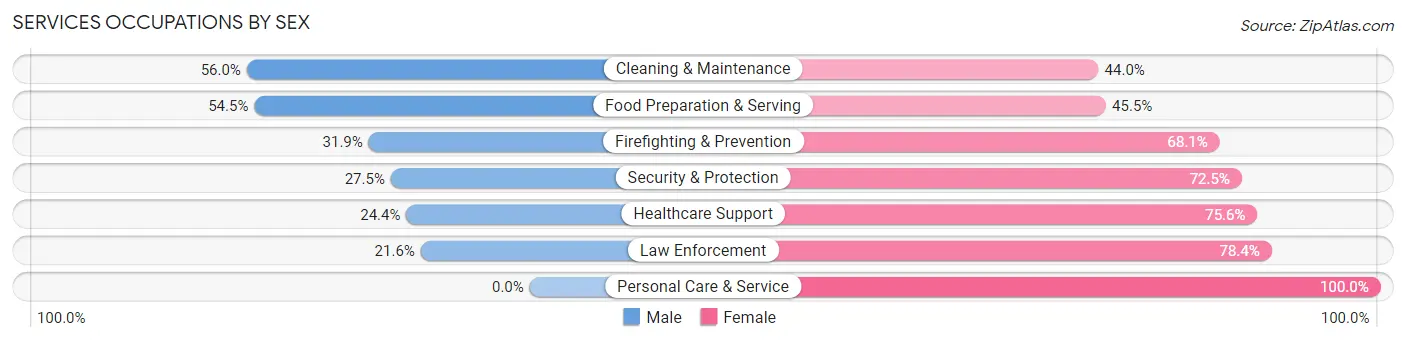 Services Occupations by Sex in Zip Code 39307