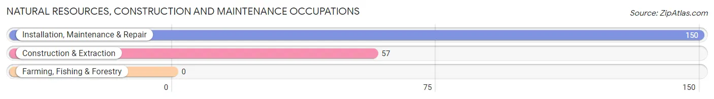 Natural Resources, Construction and Maintenance Occupations in Zip Code 39327