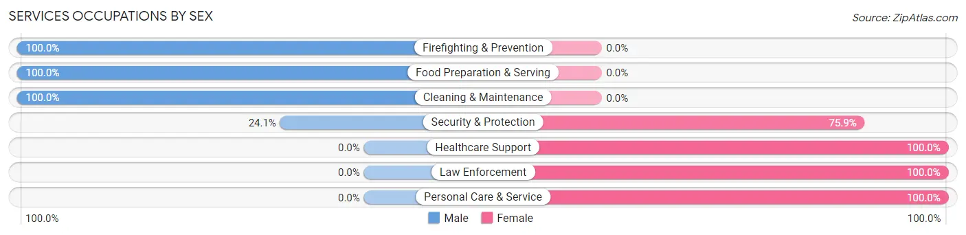 Services Occupations by Sex in Zip Code 39328