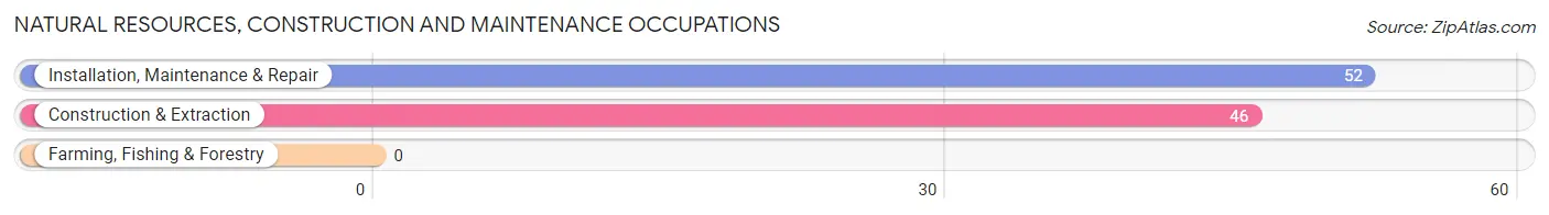 Natural Resources, Construction and Maintenance Occupations in Zip Code 39338