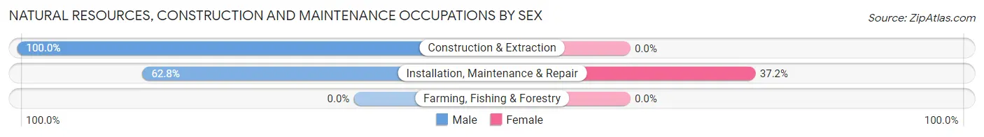 Natural Resources, Construction and Maintenance Occupations by Sex in Zip Code 39346