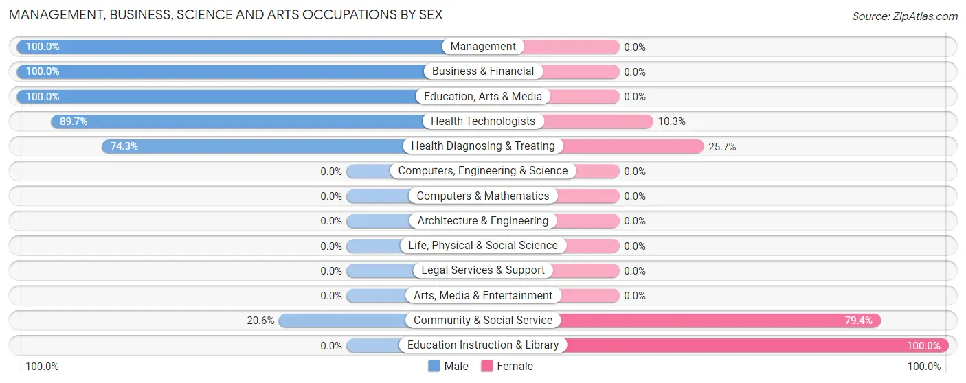 Management, Business, Science and Arts Occupations by Sex in Zip Code 39363