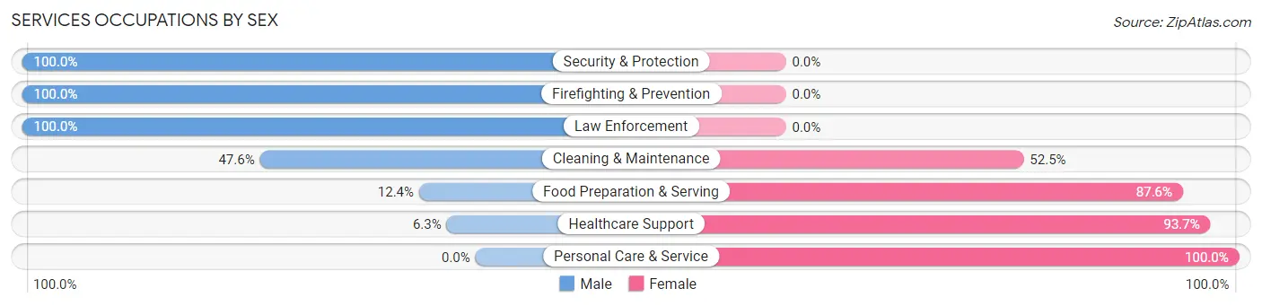 Services Occupations by Sex in Zip Code 39437