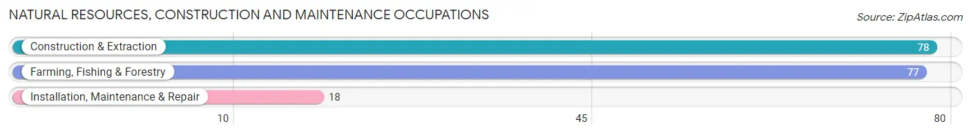 Natural Resources, Construction and Maintenance Occupations in Zip Code 39464