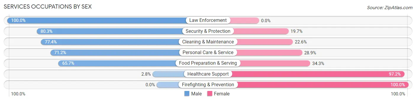 Services Occupations by Sex in Zip Code 39476