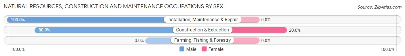 Natural Resources, Construction and Maintenance Occupations by Sex in Zip Code 39477