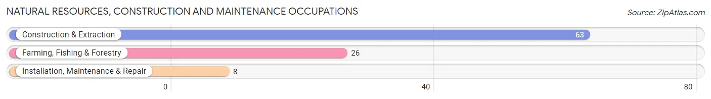 Natural Resources, Construction and Maintenance Occupations in Zip Code 39480