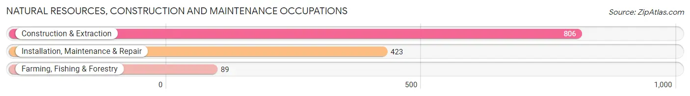 Natural Resources, Construction and Maintenance Occupations in Zip Code 39532