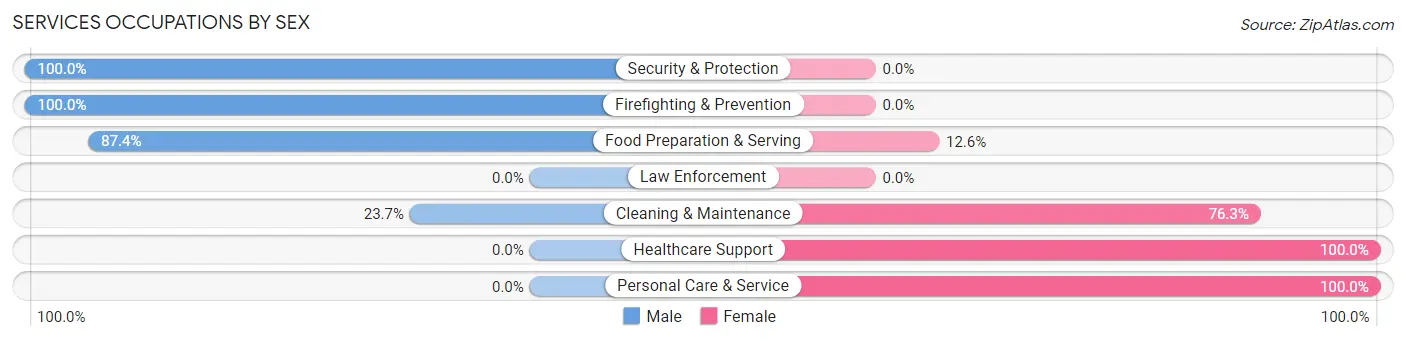 Services Occupations by Sex in Zip Code 39576
