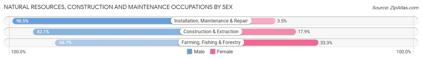 Natural Resources, Construction and Maintenance Occupations by Sex in Zip Code 39666