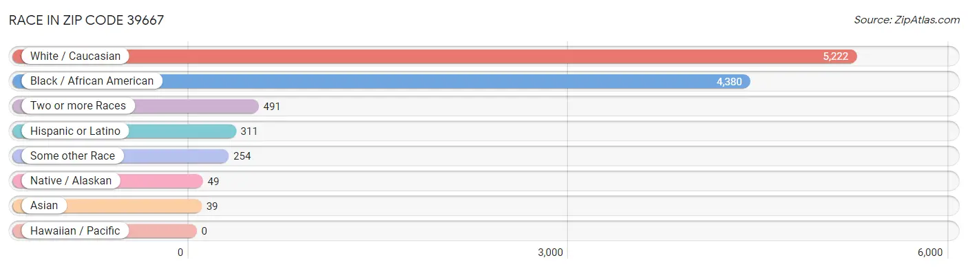 Race in Zip Code 39667