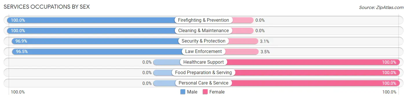 Services Occupations by Sex in Zip Code 39667