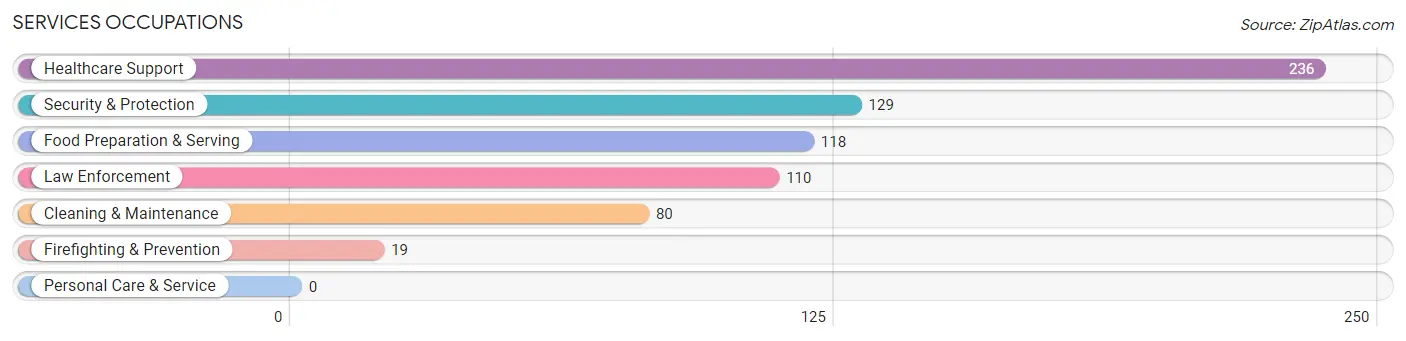 Services Occupations in Zip Code 39669