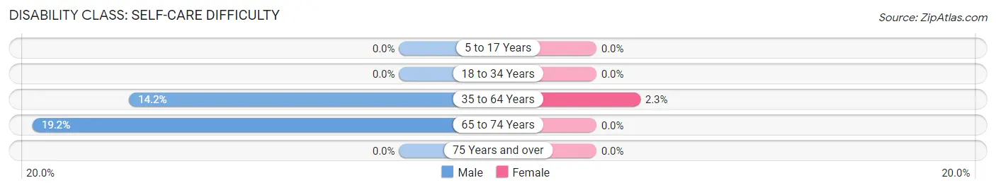 Disability in Zip Code 39741: <span>Self-Care Difficulty</span>