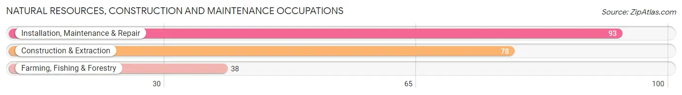 Natural Resources, Construction and Maintenance Occupations in Zip Code 39750