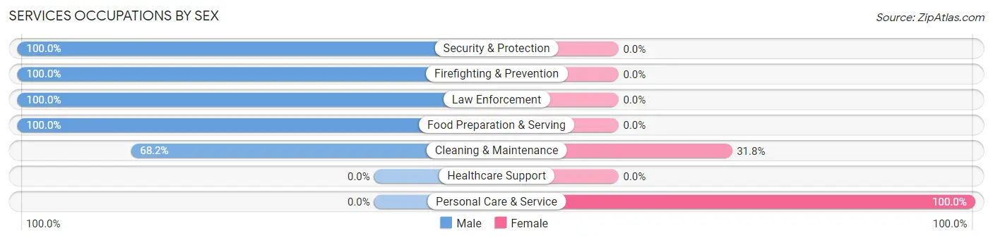Services Occupations by Sex in Zip Code 39752