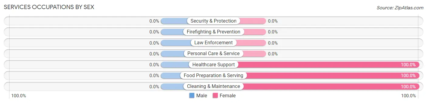 Services Occupations by Sex in Zip Code 39756