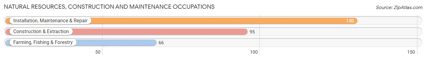 Natural Resources, Construction and Maintenance Occupations in Zip Code 39837