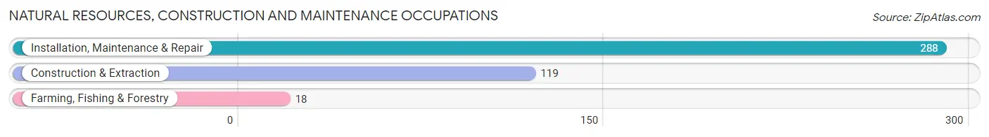 Natural Resources, Construction and Maintenance Occupations in Zip Code 40033