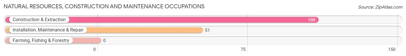 Natural Resources, Construction and Maintenance Occupations in Zip Code 40037