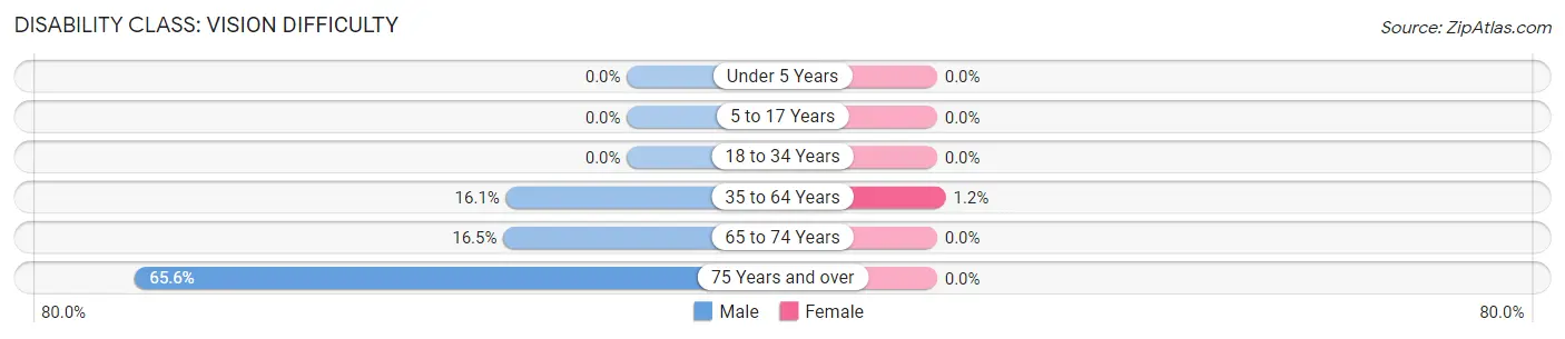 Disability in Zip Code 40060: <span>Vision Difficulty</span>