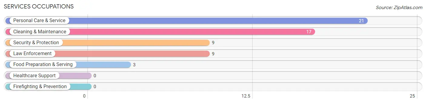 Services Occupations in Zip Code 40104