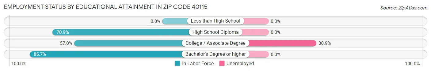 Employment Status by Educational Attainment in Zip Code 40115