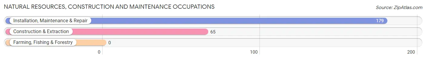 Natural Resources, Construction and Maintenance Occupations in Zip Code 40117