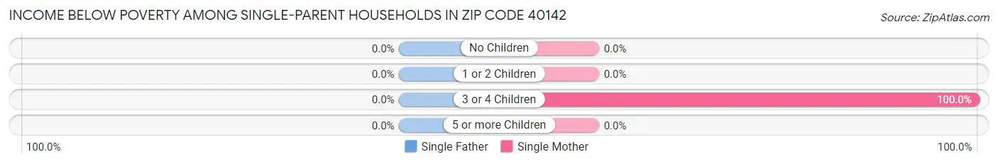 Income Below Poverty Among Single-Parent Households in Zip Code 40142