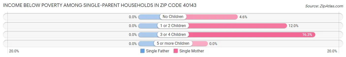 Income Below Poverty Among Single-Parent Households in Zip Code 40143