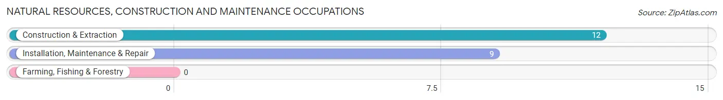 Natural Resources, Construction and Maintenance Occupations in Zip Code 40152