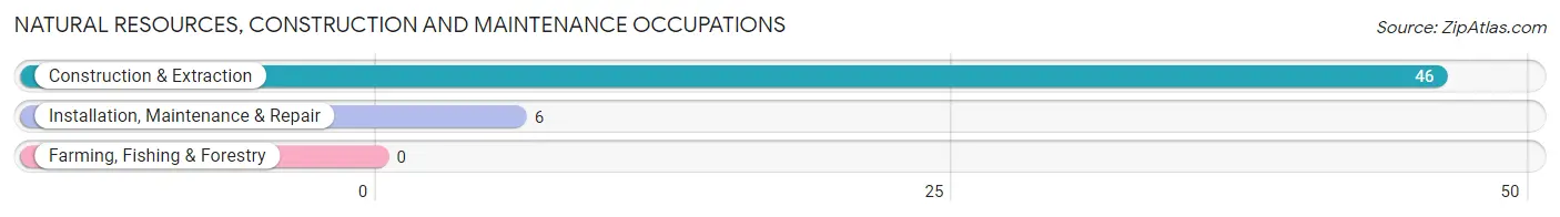 Natural Resources, Construction and Maintenance Occupations in Zip Code 40155