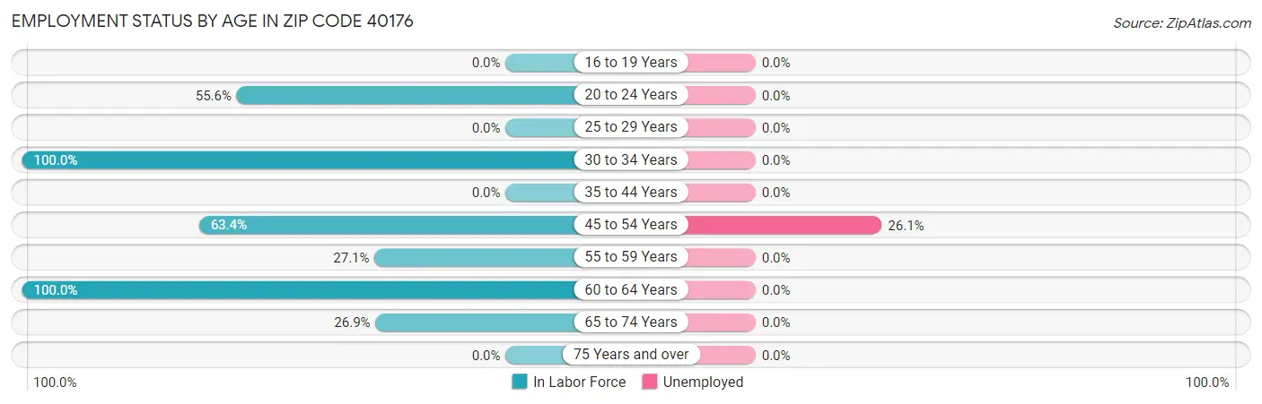 Employment Status by Age in Zip Code 40176