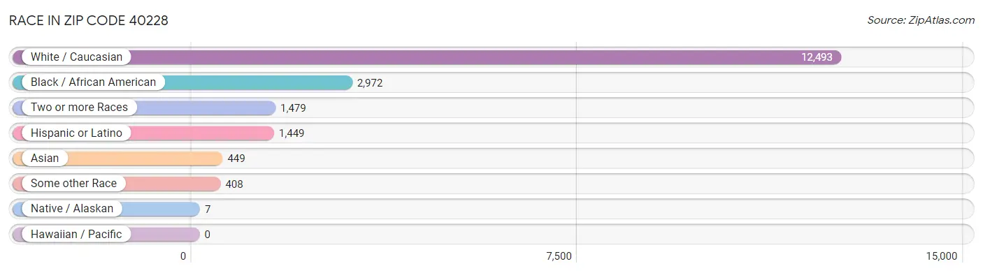 Race in Zip Code 40228