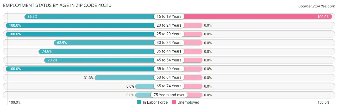 Employment Status by Age in Zip Code 40310