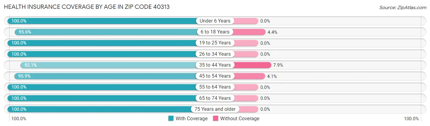 Health Insurance Coverage by Age in Zip Code 40313