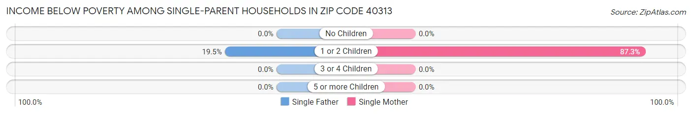 Income Below Poverty Among Single-Parent Households in Zip Code 40313