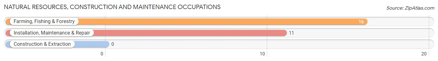 Natural Resources, Construction and Maintenance Occupations in Zip Code 40348