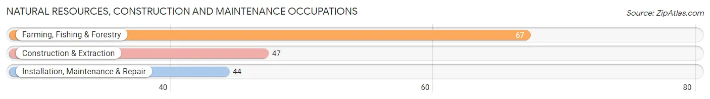 Natural Resources, Construction and Maintenance Occupations in Zip Code 40360