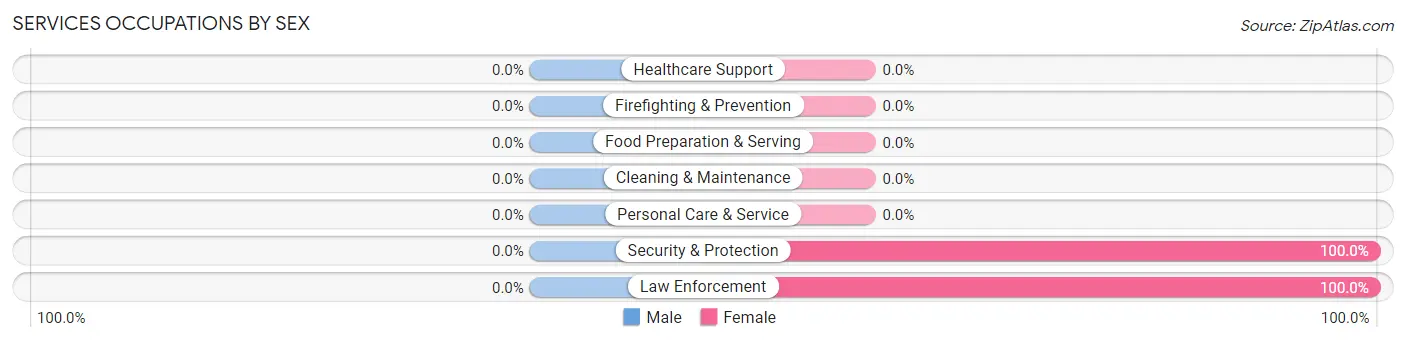 Services Occupations by Sex in Zip Code 40387