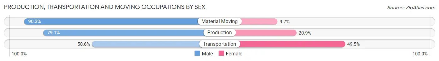 Production, Transportation and Moving Occupations by Sex in Zip Code 40419