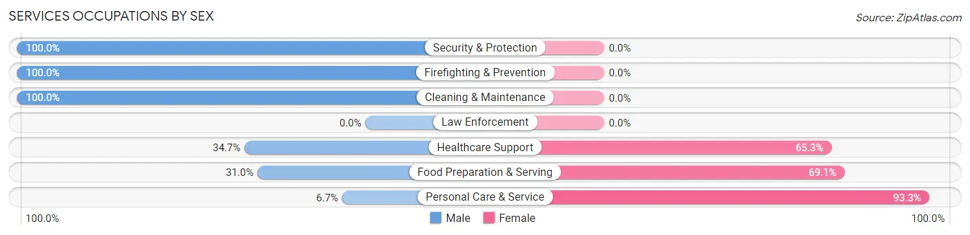 Services Occupations by Sex in Zip Code 40437