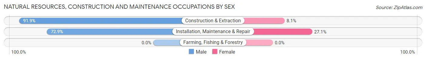 Natural Resources, Construction and Maintenance Occupations by Sex in Zip Code 40447
