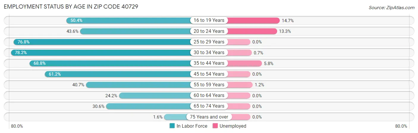 Employment Status by Age in Zip Code 40729