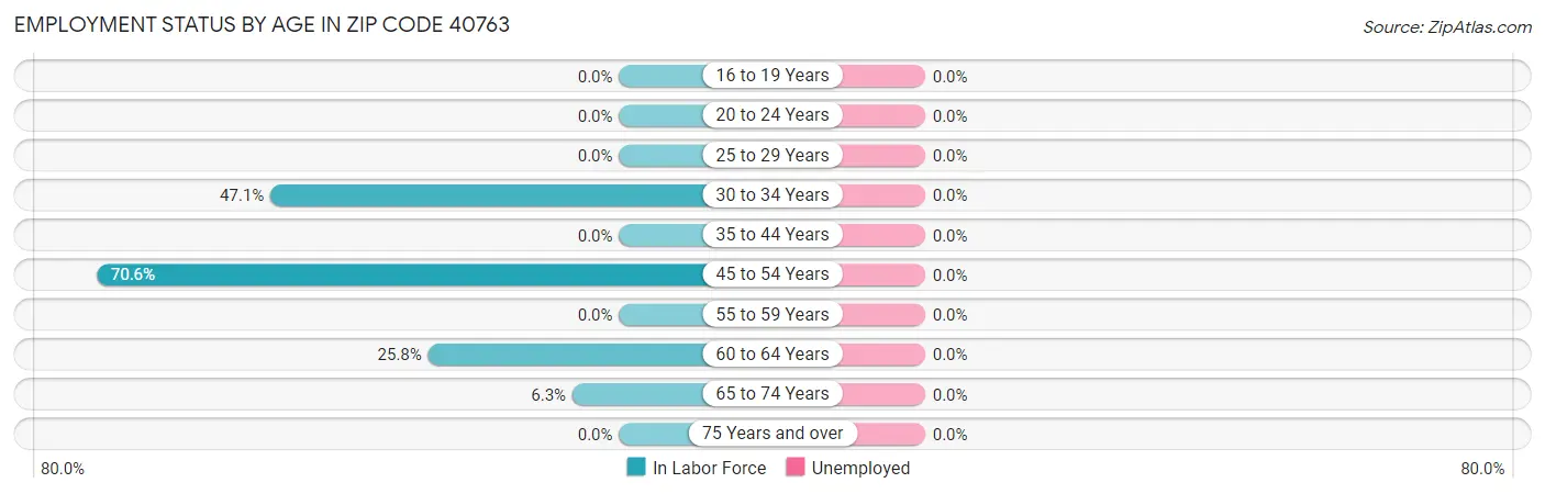 Employment Status by Age in Zip Code 40763