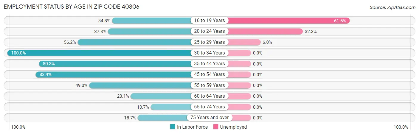 Employment Status by Age in Zip Code 40806