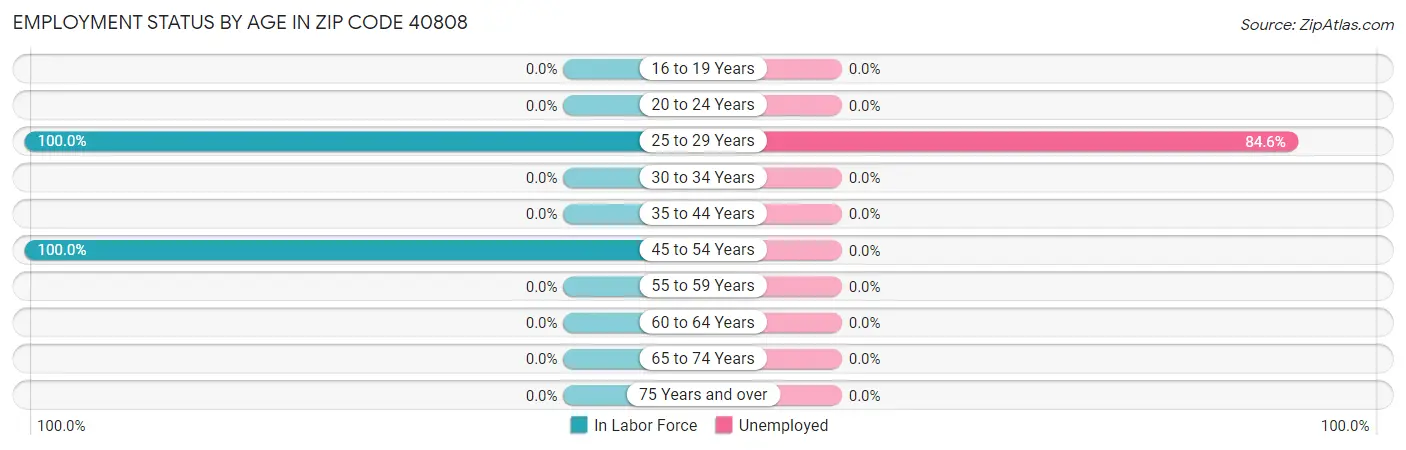 Employment Status by Age in Zip Code 40808