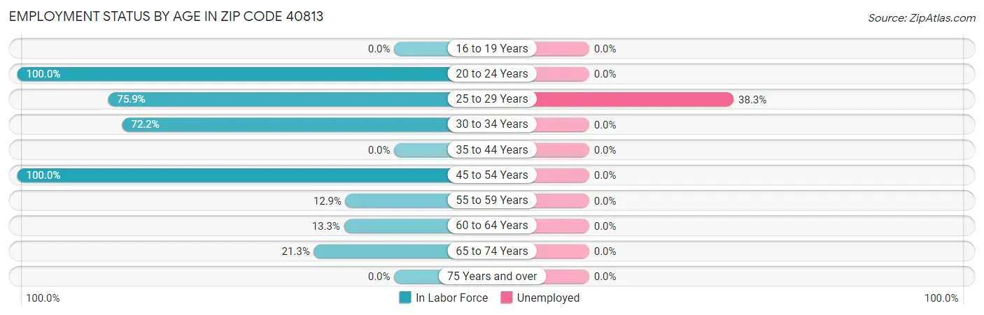 Employment Status by Age in Zip Code 40813
